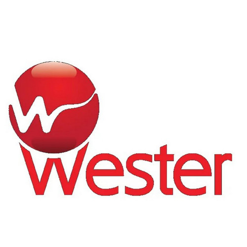 Насосы Wester